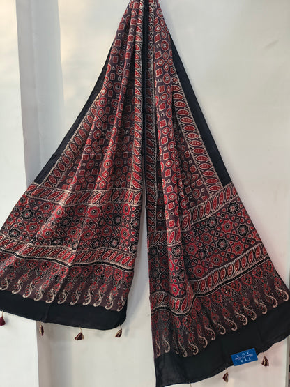 Handblock Printed Modal Silk Stole