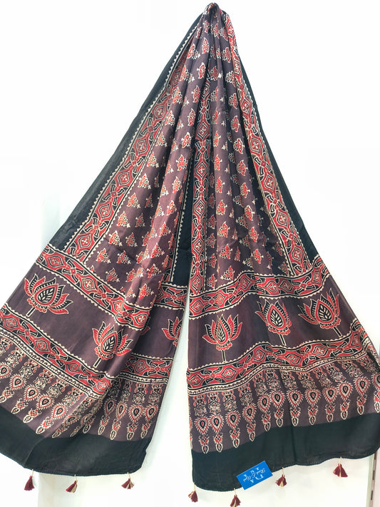Handblock Printed Modal Silk Stole